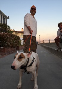 Matthew Tacov and his English Bull Dog, Chutzpuh