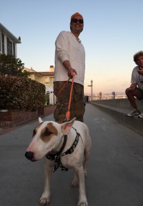 Matthew Tacov and his English Bull Dog, Chutzpuh 