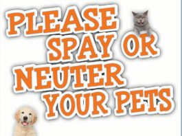 Newport Center Animal Hospital