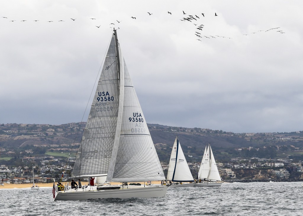 Pelican Flyover / Photo by Lawrence Sherwin