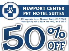 Newport Pet Hotel