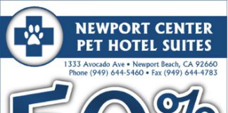 Newport Pet Hotel