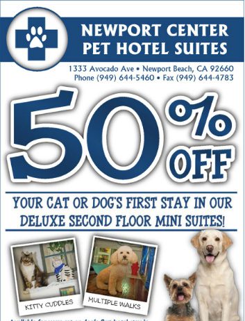 Newport Pet Hotel