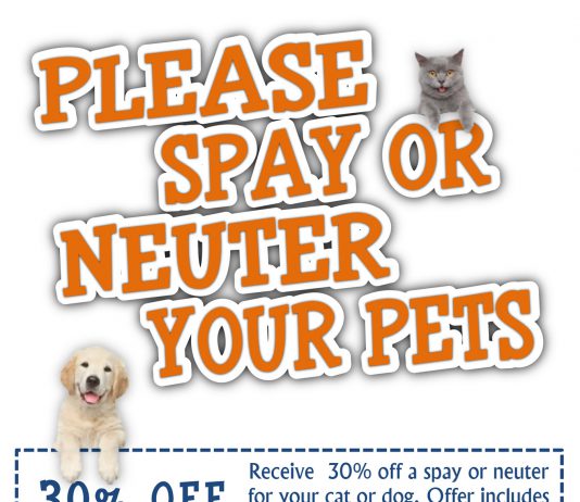 Newport Center Animal Hospital
