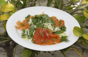 Salmon Salad at Café Jardin