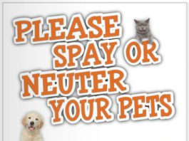 Newport Center Animal Hospital