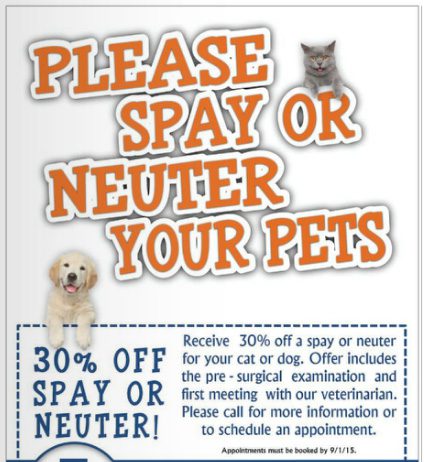 Newport Center Animal Hospital