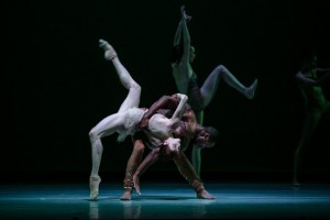 dance LINES 7  - Biophony, Photo by Quinn B Wharton