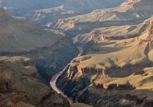 grand canyon crop