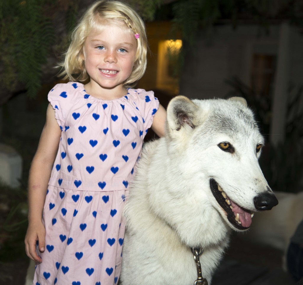 Julia Gershons, 5, with Demu the wolf. — Photo by Lawrence Sherwin ©