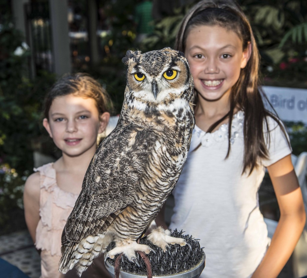 Juliana Yoon and Haven Hodge with an owl. — Photo by Lawrence Sherwin ©