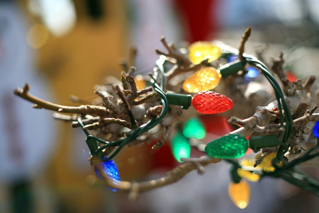 Christmas lights wrapped around a tree in front of Vitarelli's home. The tree is decorated for the different holidays throughout the year. — Photo by Sara Hall ©