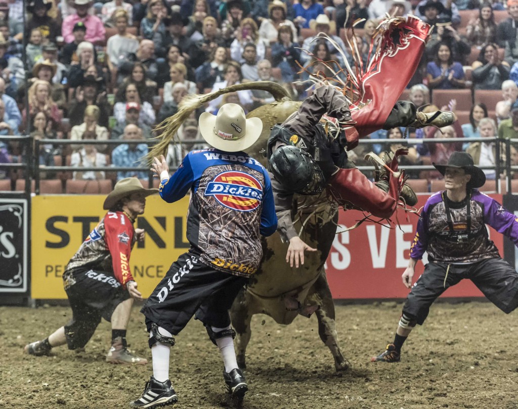 A rider flies off the back of a bull as PBR fighters try and distract the large animal. — Photo by Lawrence Sherwin ©