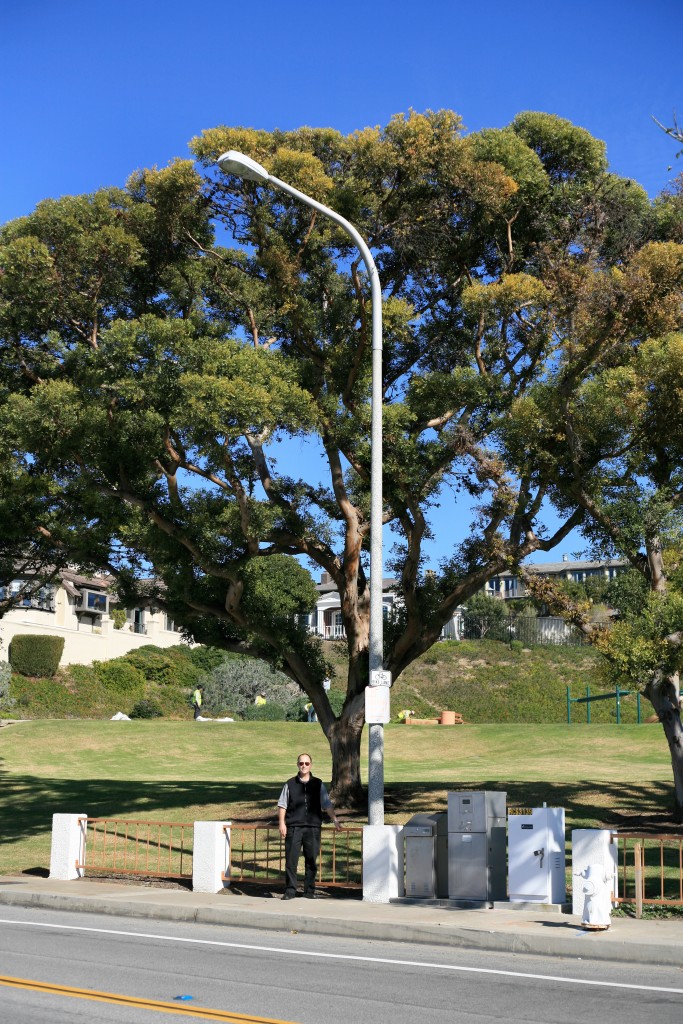 Resident Bruce Horn next to the light post where the proposed cell tower would have been placed. — Photo by Sara Hall ©