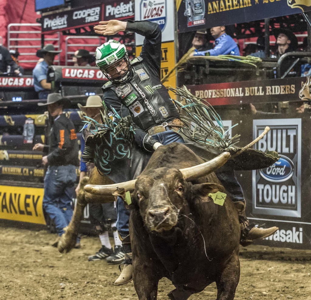 A rider hangs on tight as the bulls tries to kick him off his back. — Photo by Lawrence Sherwin ©