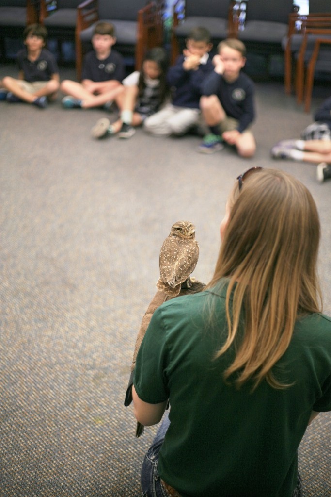 Inside the Outdoors Program Naturalist Hailey Quirk talks to first graders at Harbor Day School during the Traveling Scientist program on Friday about birds of prey, including Spartacus, a rescued burrowing owl who lost his eye. — Photos by Sara Hall ©