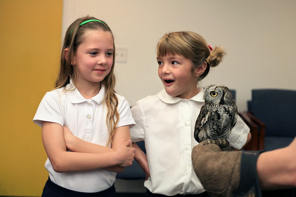 Harbor Day first graders Sheridan Hofer, 6, and Kaitlyn Dostert, 7, meet Gus, a Western screech owl, when the Traveling Scientist visited the school on Friday. — Photos by Sara Hall ©