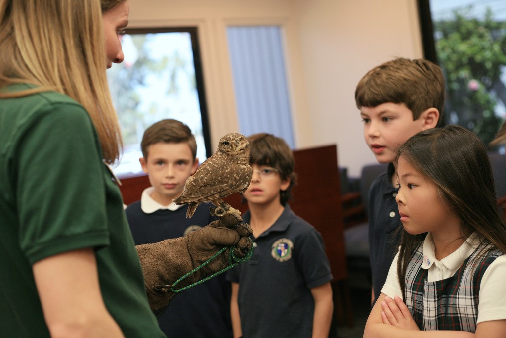Kids closely watch Spartacus, a rescued burrowing owl who lost his eye, during the program. — Photos by Sara Hall ©
