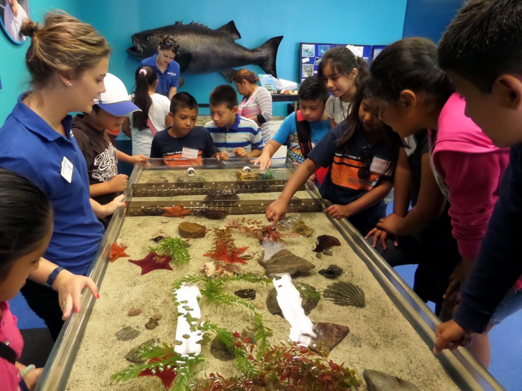 Science program at ExplorOcean. — NB File photo ©