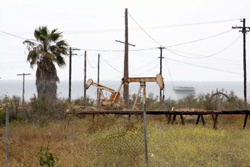 Wild vegetation and oil operations both currently take up the space on Banning Ranch. — Photo by Christopher Trela ©