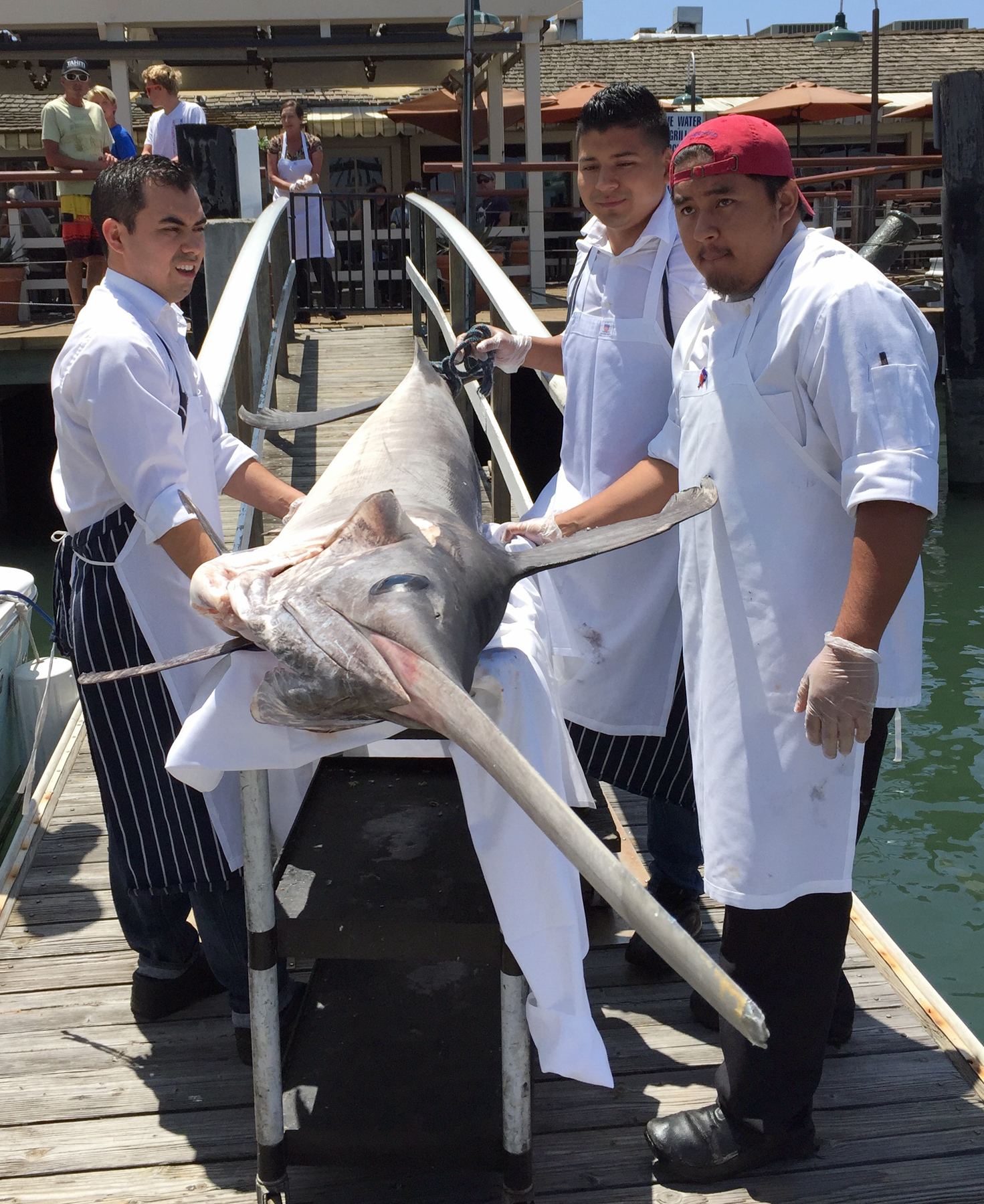 Fresh Caught Swordfish Makes the Cut Newport Beach News