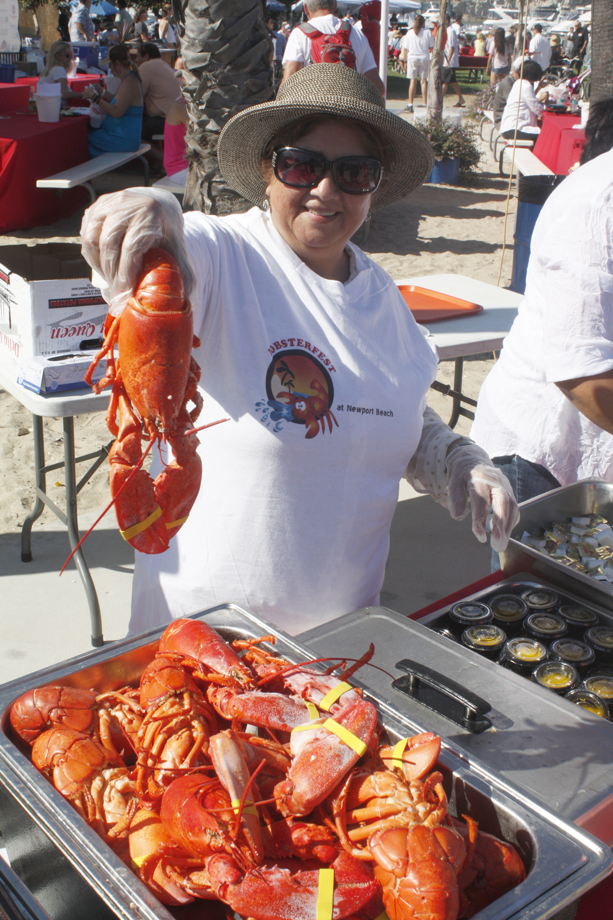 Get Ready for the 8th Annual Lobsterfest Newport Beach News