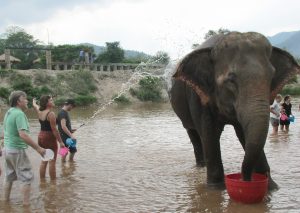 Pascal (far left) at Save Elephant Nature Park