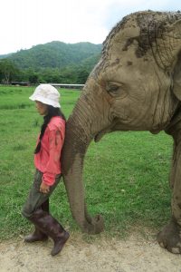 Save Elephant Foundation’s founder Lek Chailert