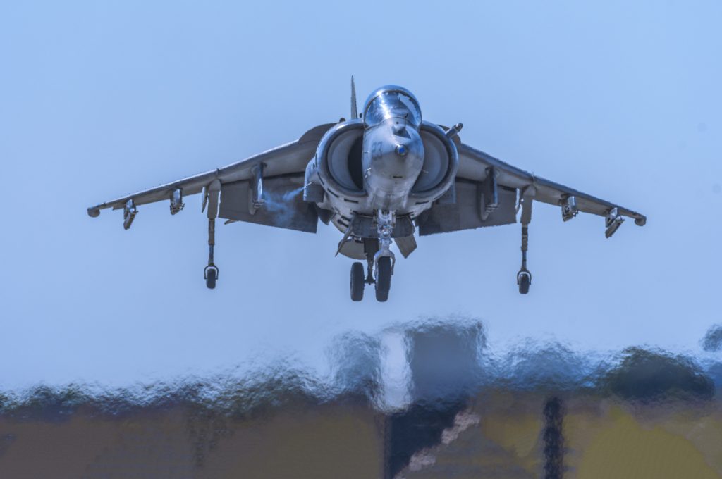 harrier-10