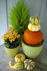 pumpkin-gourd-topiary-3