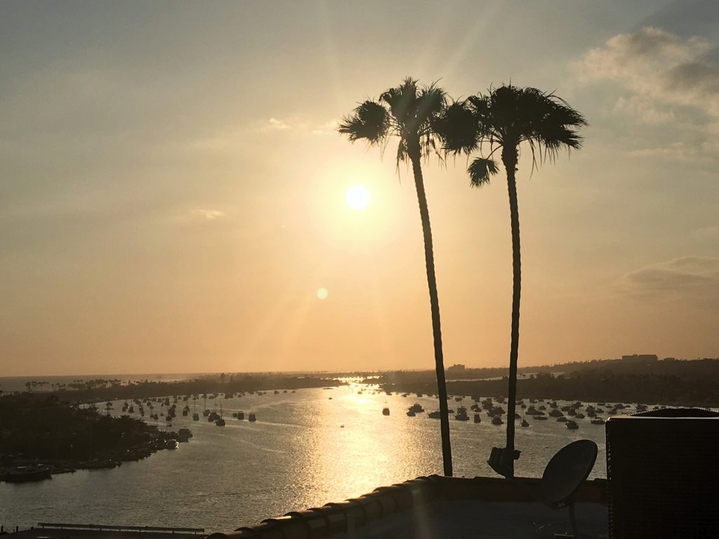 The Parks, Beaches and Recreation Commission voted 5-1 on Sept. 6 to relocate a pair of “iconic” palm trees at 239 Carnation Ave. in Corona del Mar but keep the “goal post” configuration. — Photo by Richard Umphrey ©