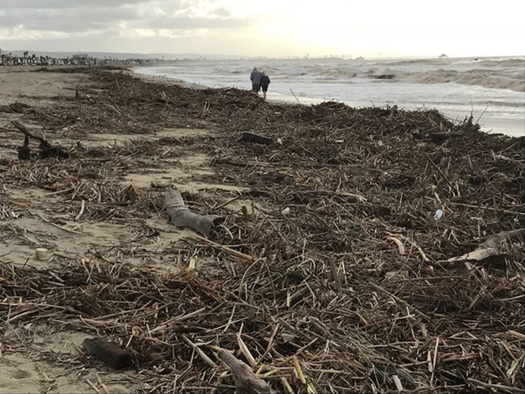 A couple walks on the beach near some washed up debris from the storm last weekend. — Photo courtesy Newport Beach Municipal Operations Department ©