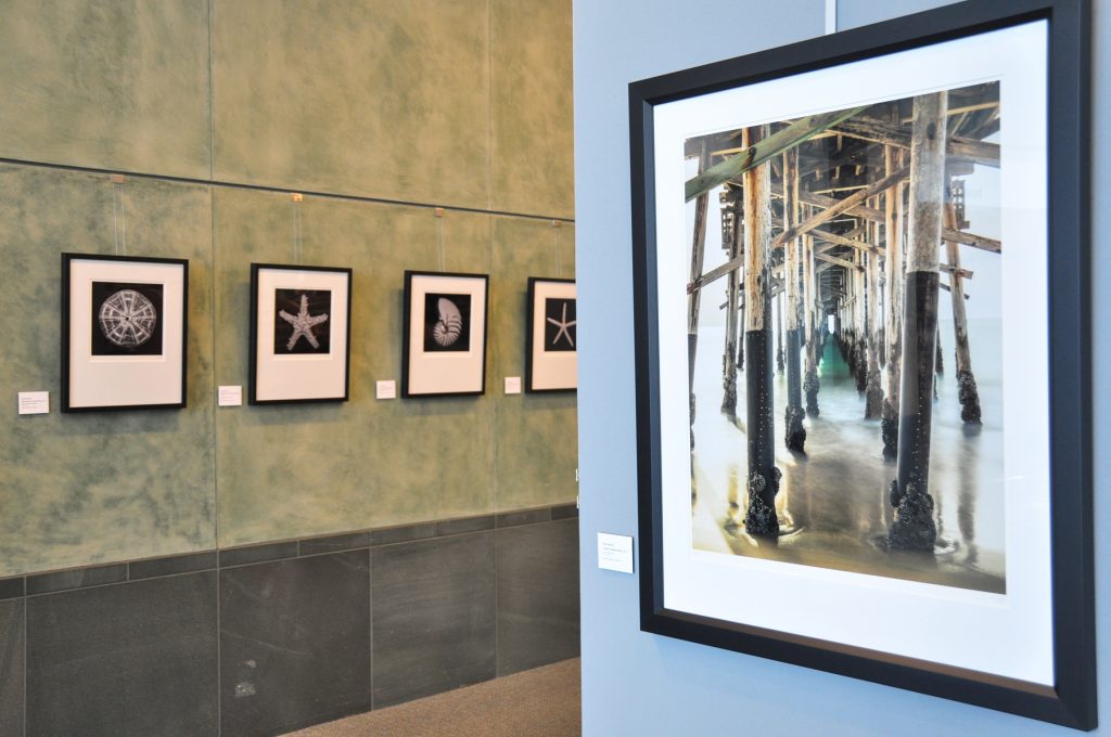 Display of Scott Amling’s photography in the Central Library. — NB Indy file photo