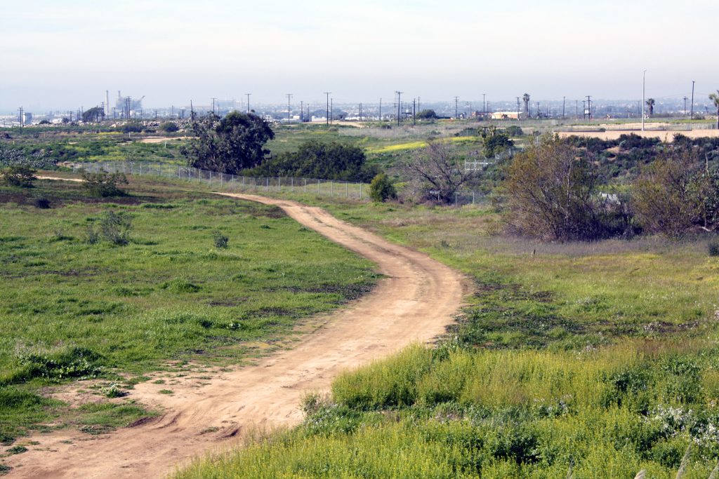 A view of the Banning Ranch property, which will once again be on the California Coastal Commission’s agenda on Thursday.  — Photo Christopher Trela ©