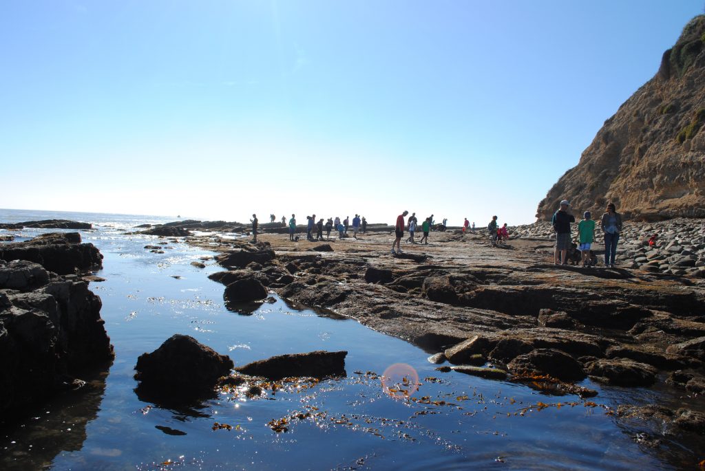 Rocky intertidal areas, as shown in this undated photo, are popular destinations and make up a quarter of the South Coast region of California. — Photo by Sarah Finstad ©