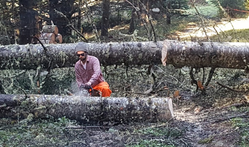 Cutting a path through downed trees on the road