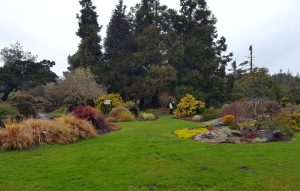 Mendocino Coast Botanical Gardens