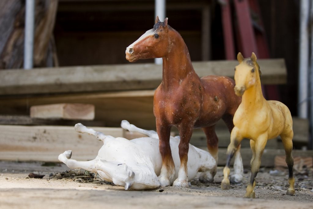 Toy horses sit on the platform where the riders mount and dismount the horses at the Back Bay Therapeutic Riding Club in Newport Beach. Games and activities are used during the therapy sessions. — Photo by Sara Hall ©