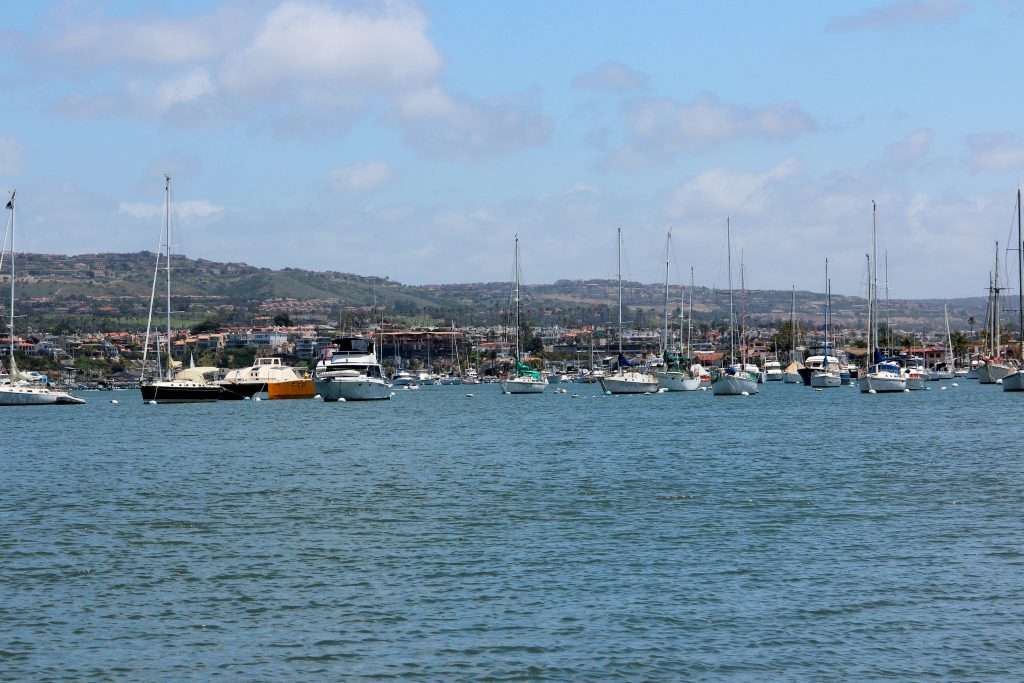 The city taking over management of the moorings in Newport Harbor was just one of the updates the Harbor Commission heard on Wednesday. — Photo by Sara Hall ©