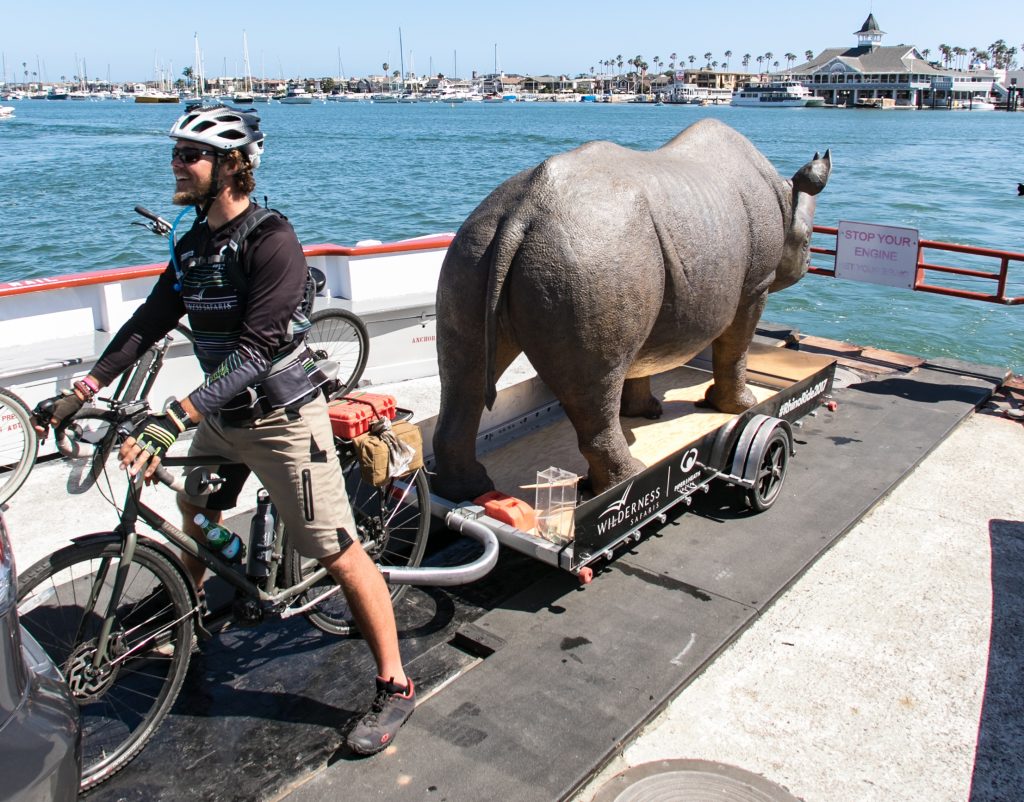 Cyclist Matt Meyer and his rhino aboard the Balboa Ferry. — Photo by Jim Collins ©