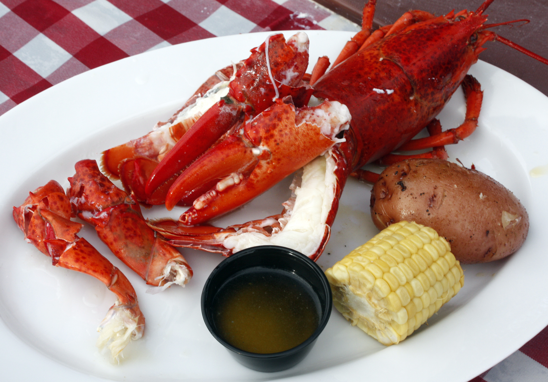 Summer Fun Annual Lobsterfest Returns to Newport Dunes Newport Beach