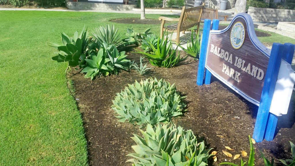 Balboa Island Park