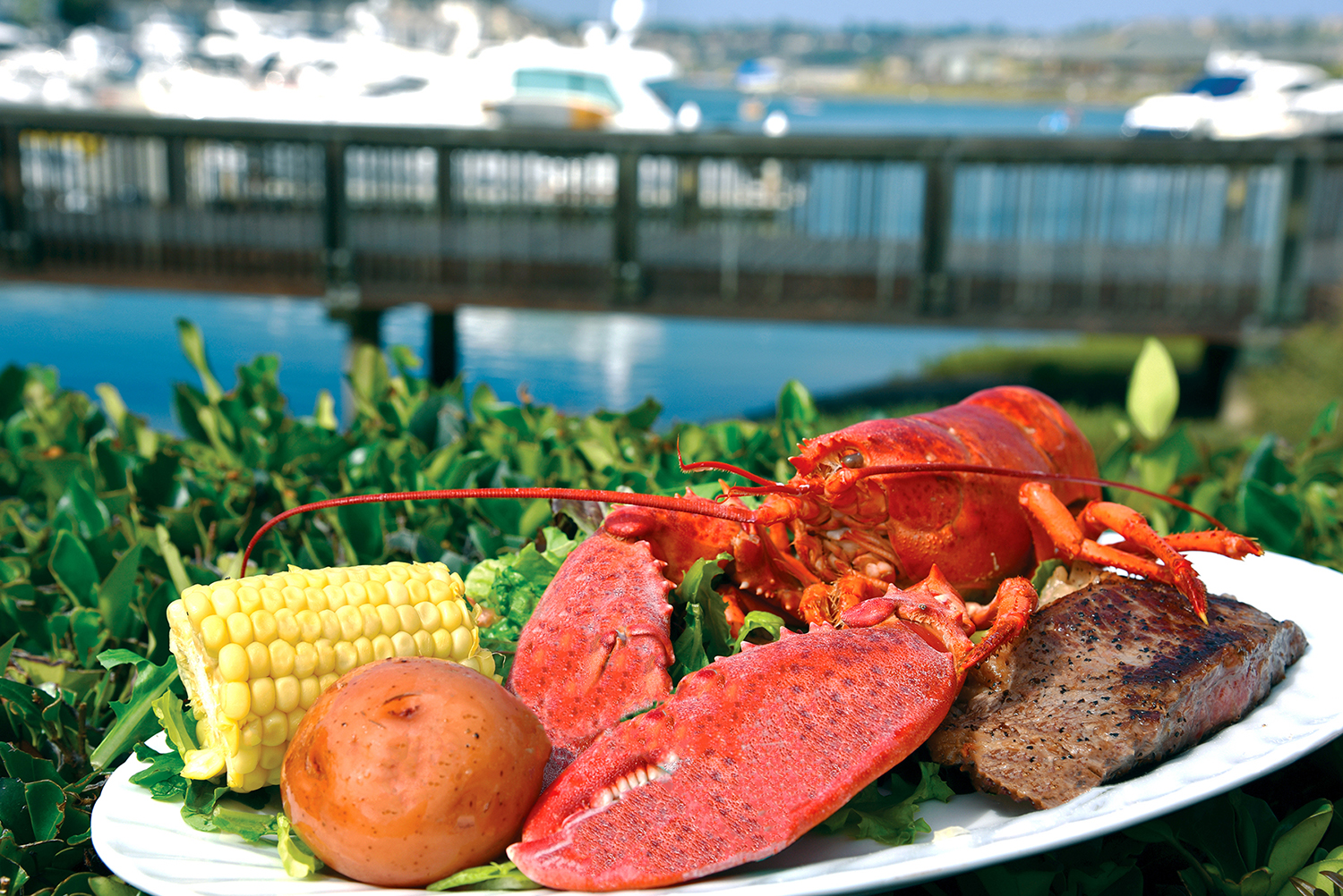 Off the Menu 10th Annual Lobsterfest at Newport Beach Aug 5 Newport