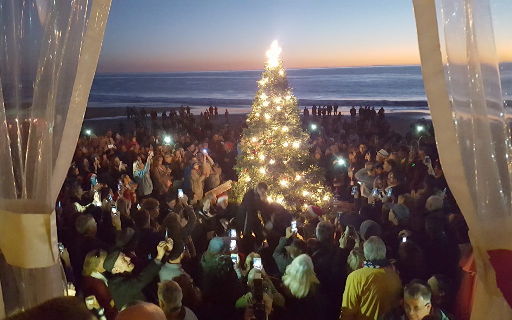Crystal Cove Conservancy Cancels Annual Tree Lighting Event Newport