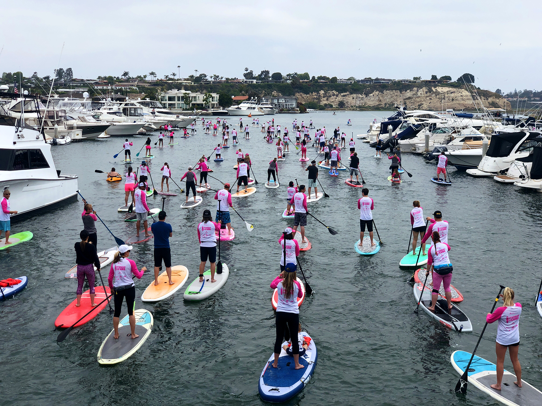 Hundreds Attend Stand Up for the Cure Event at Newport Dunes - Newport  Beach News