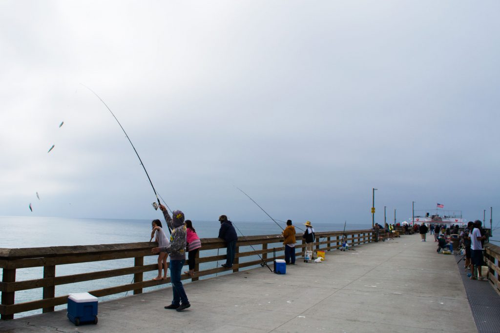 Pier Fishing Primer