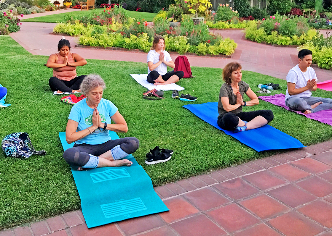 Sherman Gardens Offers Outdoor Yoga Classes This Summer Newport Beach News