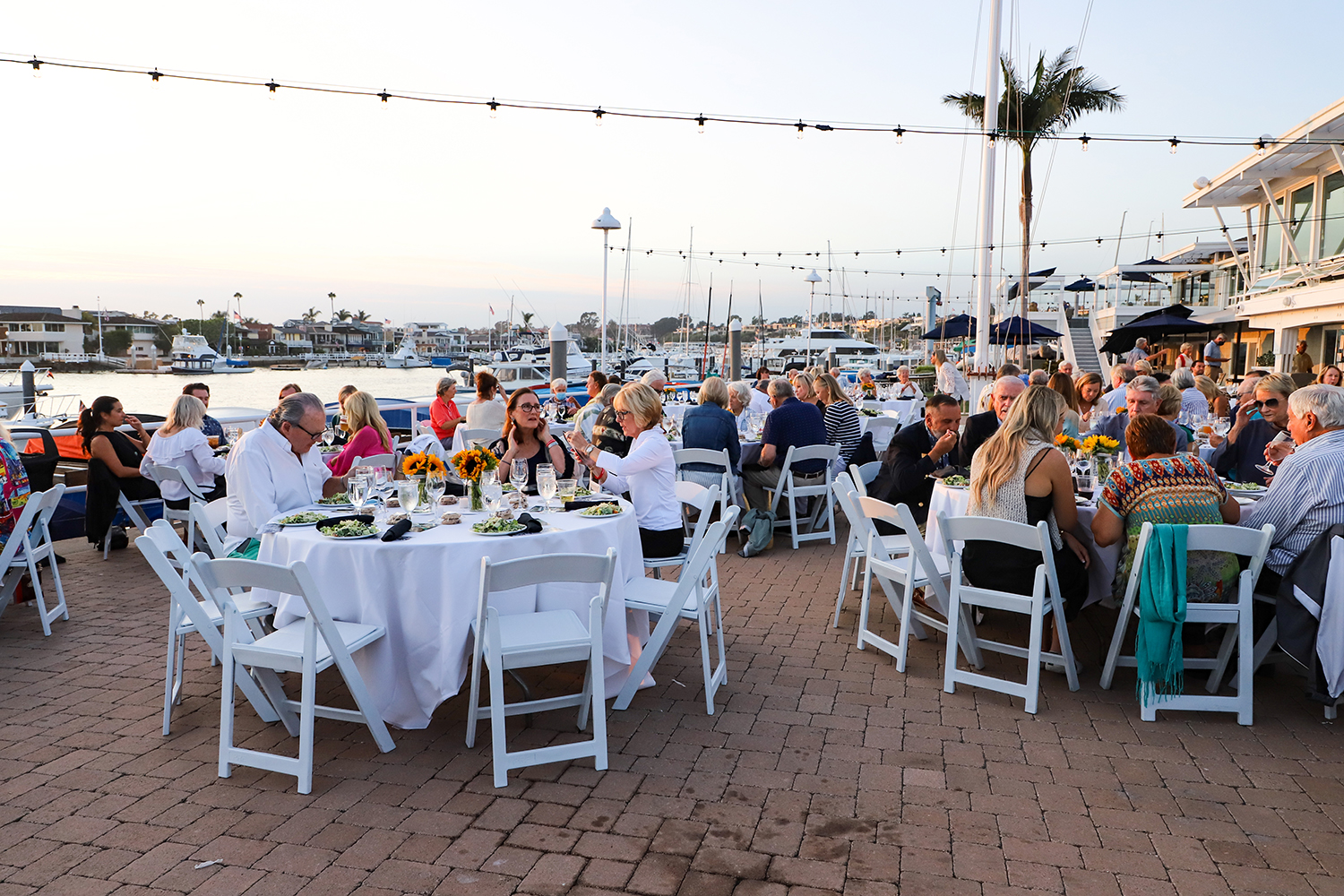 newport beach balboa yacht club