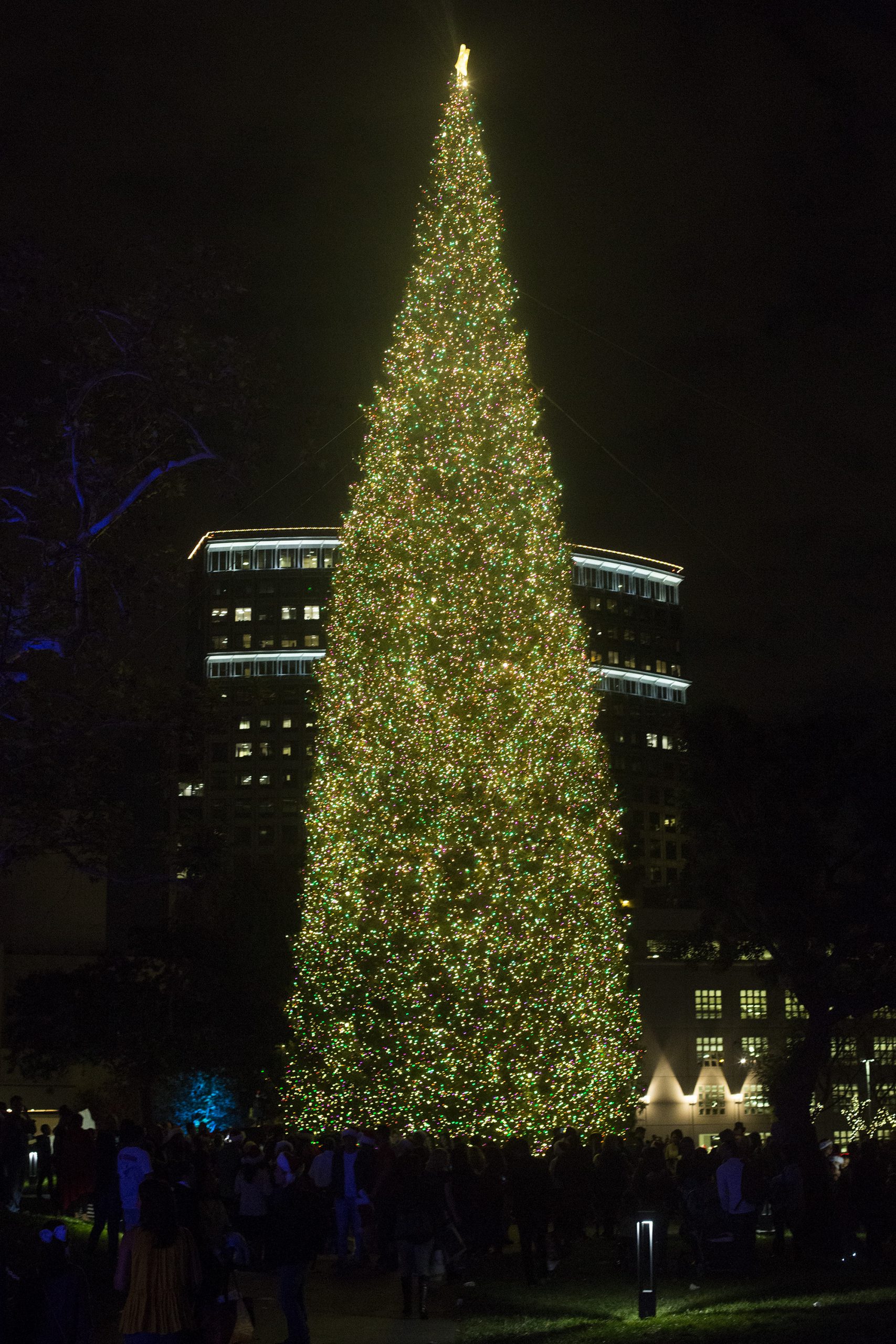 South Coast Plaza Traditional Tree Lighting Ceremony