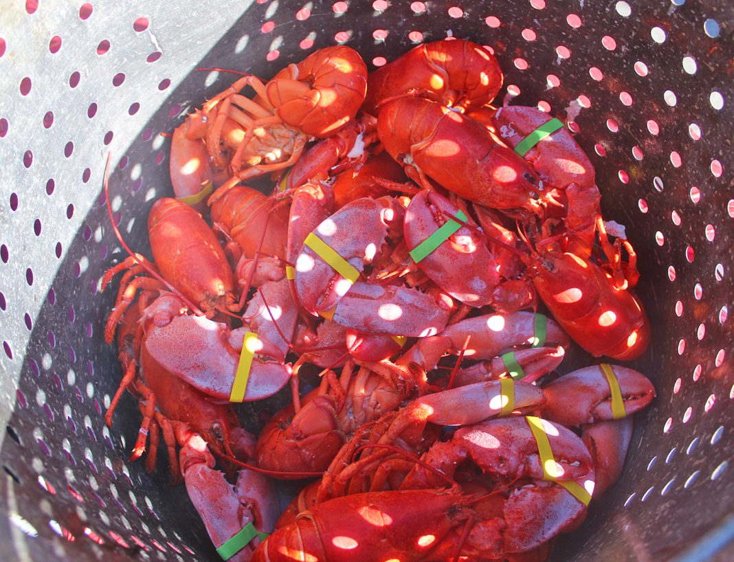 Lobster Lovers Raise Funds for Charity at Annual Newport Beach